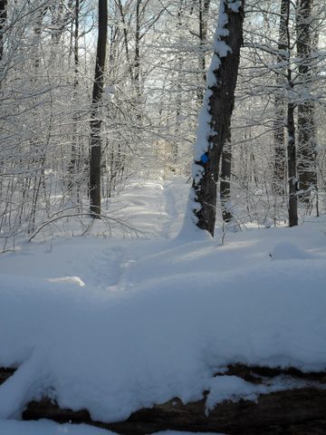 Photo from Winter Backpacking Trip 2.0, Algonquin Park, Maggie Lake