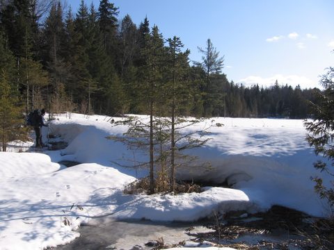 Photo from Winter Backpacking Trip 3.0, Algonquin Park, Snow Structures