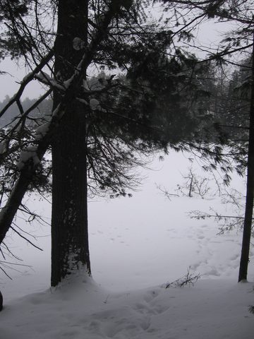 Photo from Winter Backpacking Trip 3.0, Algonquin Park, Snow Structures
