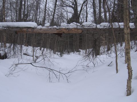 Photo from Winter Backpacking Trip 4.0, Algonquin Park, Complete Inner Loop