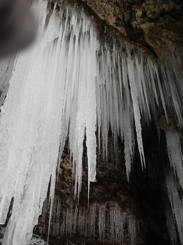 Photo from Snowshoeing, Bruce Peninsula National Park, 2.0