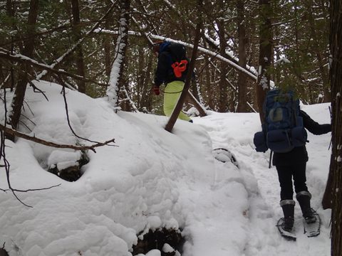 Photo from Snowshoeing, Bruce Peninsula National Park, 2.0