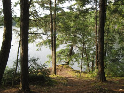 Photo from Victoria weekend Canoe Trip