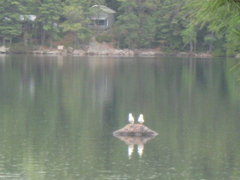 Photo from Victoria weekend Canoe Trip