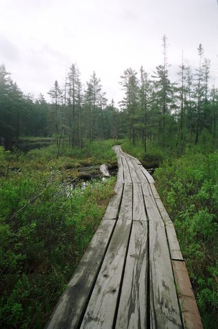 Photo from Victoria weekend Canoe Trip