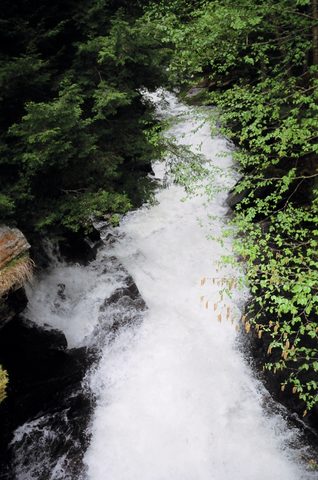 Photo from Victoria weekend Canoe Trip