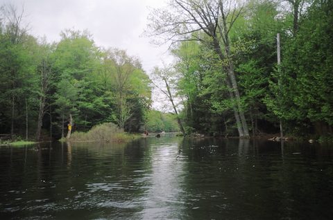 Photo from Victoria weekend Canoe Trip