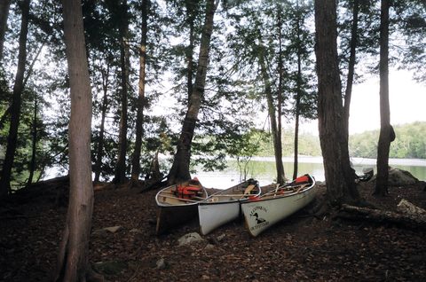Photo from Victoria weekend Canoe Trip