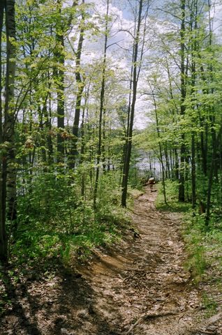 Photo from Victoria weekend Canoe Trip