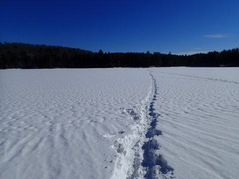 Photo from Snowshoe Camping, Guskewau Lake, Algonquin 2.0