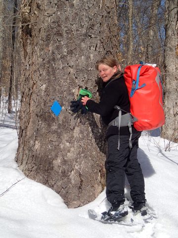 Photo from Snowshoe Camping, Guskewau Lake, Algonquin 2.0