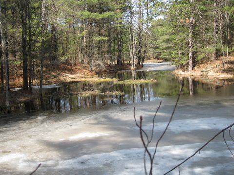 The last of the ice