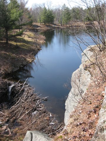 Beaver dams made for exciting crossings