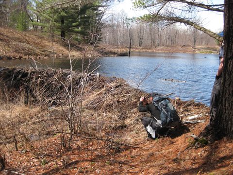 Mark photographing the amazing beaver dam