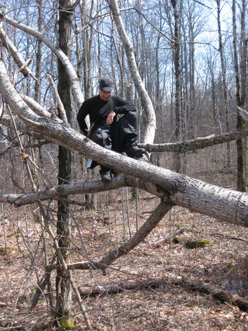 Mark the tree climbing machine