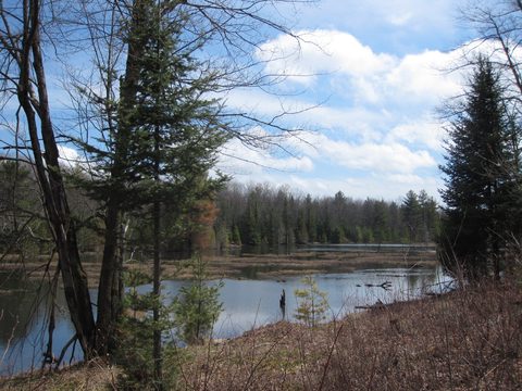Photo from Backpacking on the Ganaraska Trail - Wilderness Section