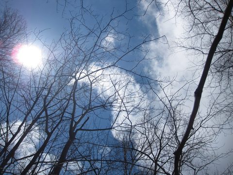 Photo from Backpacking on the Ganaraska Trail - Wilderness Section