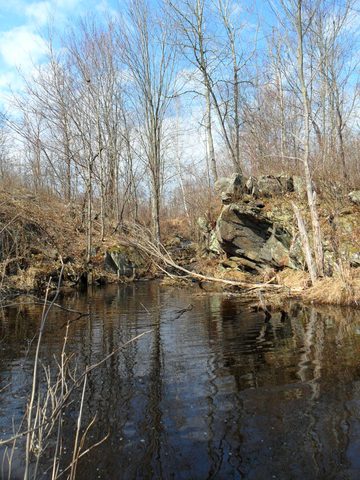 Photo from Backpacking on the Ganaraska Trail - Wilderness Section