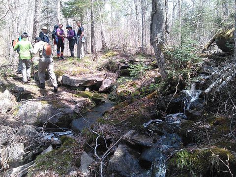 Photo from Land Lubbers for Victoria Day!