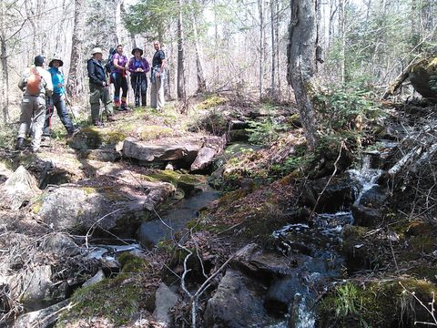 Photo from Land Lubbers for Victoria Day!