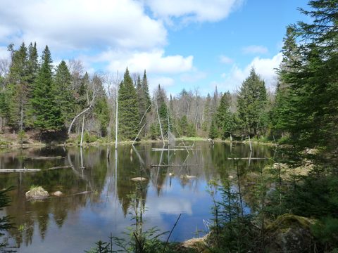 Photo from Land Lubbers for Victoria Day!