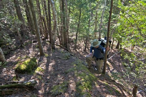 Photo from Intro Backpacking - A first trip