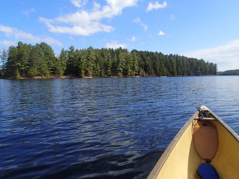 Photo from Canoeing, Biggar Lake, Algonquin