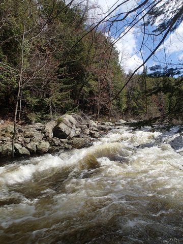 Photo from Canoeing, Biggar Lake, Algonquin