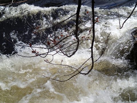 Photo from Canoeing, Biggar Lake, Algonquin