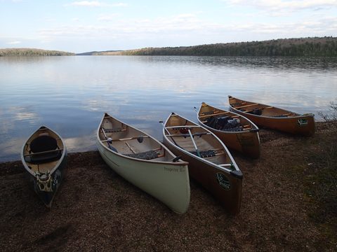 Photo from Canoeing, Biggar Lake, Algonquin