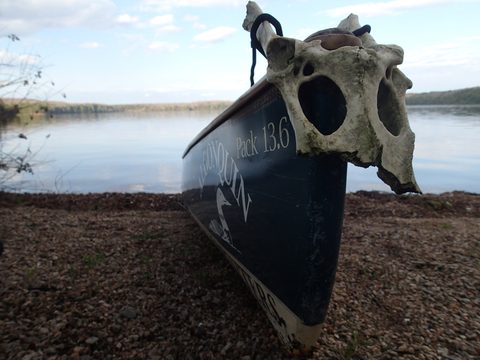 Photo from Canoeing, Biggar Lake, Algonquin
