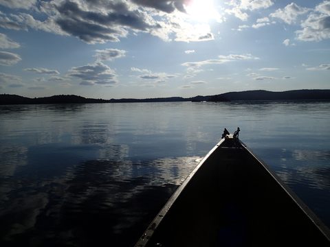 Photo from Canoeing, Biggar Lake, Algonquin