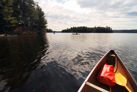 Photo from Canoeing, Biggar Lake, Algonquin