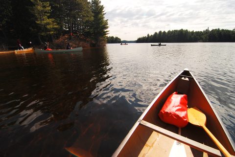 Photo from Canoeing, Biggar Lake, Algonquin