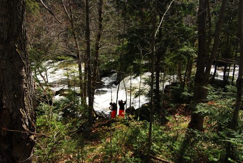 Photo from Canoeing, Biggar Lake, Algonquin