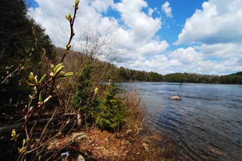 Photo from Canoeing, Biggar Lake, Algonquin