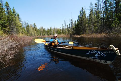 Photo from Canoeing, Biggar Lake, Algonquin