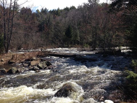 Photo from Canoeing, Biggar Lake, Algonquin