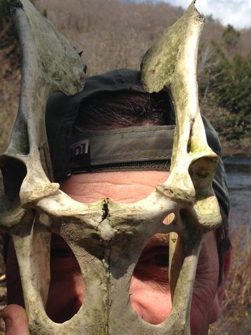 Photo from Canoeing, Biggar Lake, Algonquin