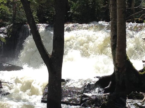 Photo from Canoeing, Biggar Lake, Algonquin