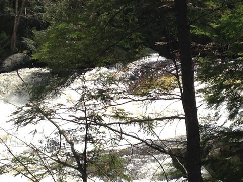 Photo from Canoeing, Biggar Lake, Algonquin