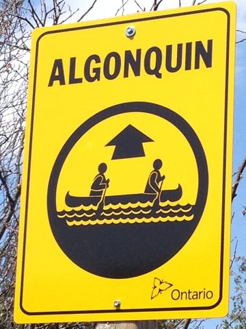 Photo from Canoeing, Biggar Lake, Algonquin
