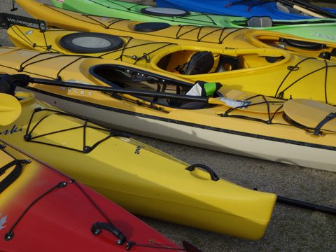 Photo from Intro to kayak camping, Laurel Creek Conservation, Waterloo
