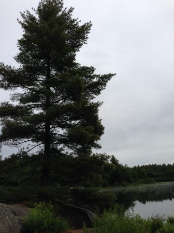 Photo from Kayaking, Massasauga Provincial, Georgian Bay