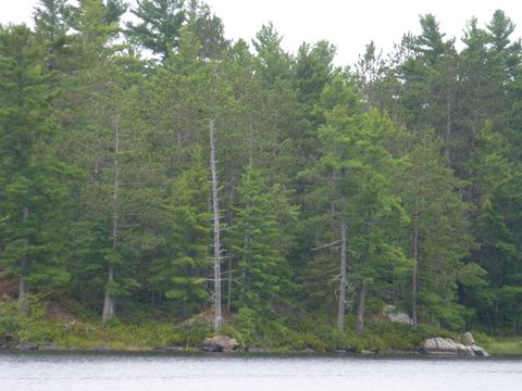 Photo from Trekking with Chev ~ Return to Bon Echo~ A backpacking Adventure