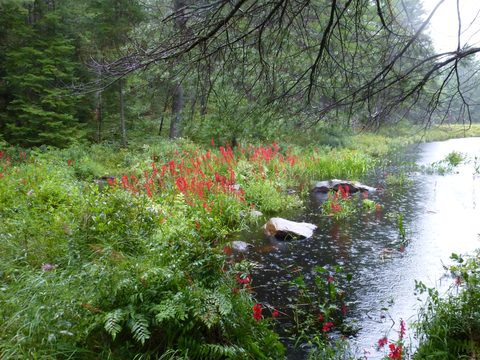 Photo from Trekking with Chev ~ Return to Bon Echo~ A backpacking Adventure