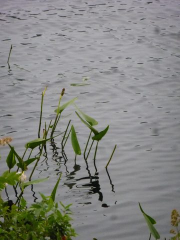 Photo from Trekking with Chev ~ Return to Bon Echo~ A backpacking Adventure