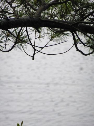 Photo from Trekking with Chev ~ Return to Bon Echo~ A backpacking Adventure