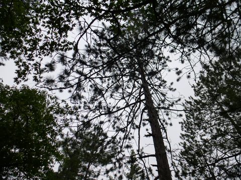 Photo from Trekking with Chev ~ Return to Bon Echo~ A backpacking Adventure