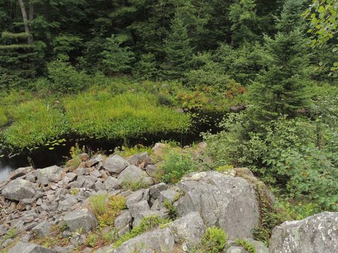 Photo from Trekking with Chev ~ Return to Bon Echo~ A backpacking Adventure